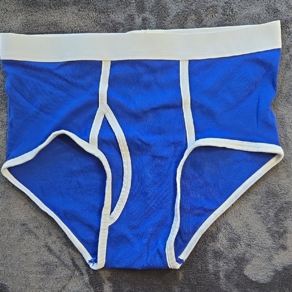 Los Angeles Apparel Blue and White Briefs